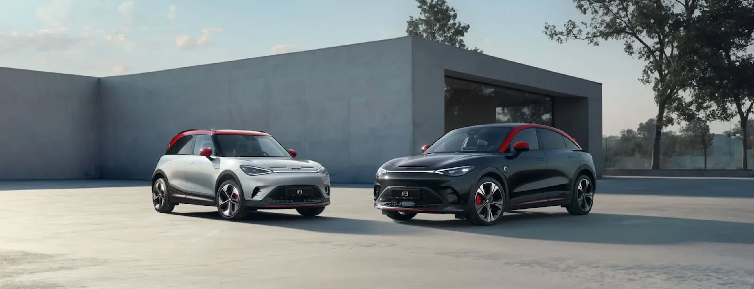 collection-banner-image